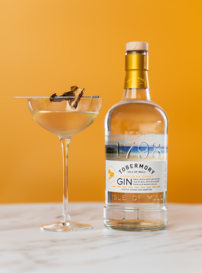 Umami Gin Martini and Tobermory Coast Gin